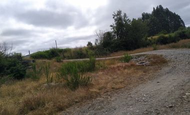 Tu Refugio Natural en Valdivia 26000 m² de Ensueño