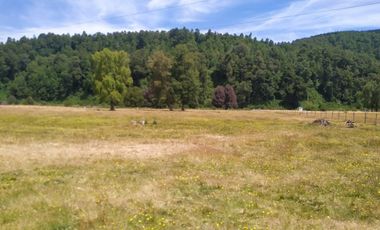 Tu Refugio Natural en Valdivia 26000 m² de Ensueño