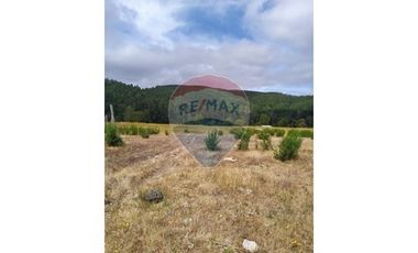 Tu Refugio Natural en Valdivia 26000 m² de Ensueño