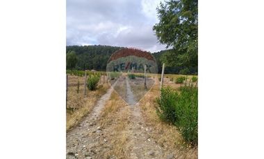 Tu Refugio Natural en Valdivia 26000 m² de Ensueño