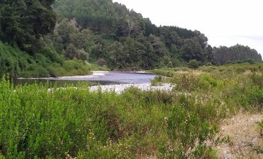 Tu Refugio Natural en Valdivia 26000 m² de Ensueño