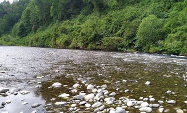 Tu Refugio Natural en Valdivia 26000 m² de Ensueño