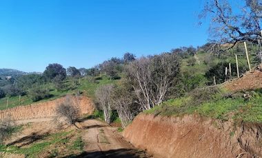 Parcela en venta en Villa Alemana, 3.000 m2.