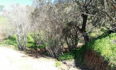 Parcela en venta en Villa Alemana, 3.000 m2.