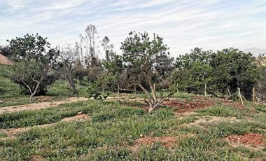 Parcela en venta en Villa Alemana, 3.000 m2.