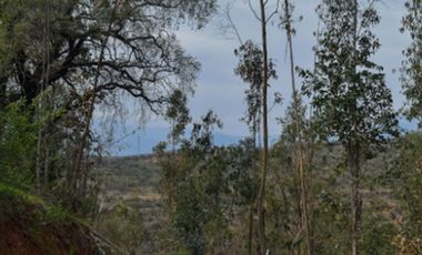 Parcela en venta en Villa Alemana, 3.000 m2.