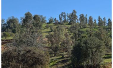 Parcela en venta en Villa Alemana, 3.000 m2.