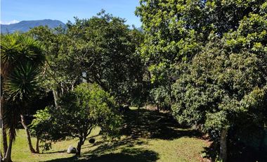 3125972 Venta Finca la Veta Copacabana Antioquia