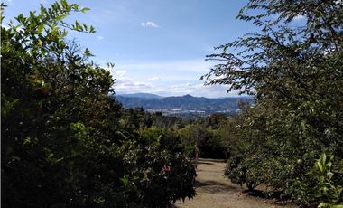 Venta Finca La Ceja Antioquia