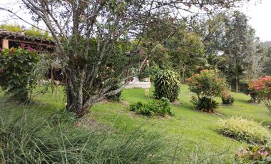 Venta Finca La Ceja Antioquia