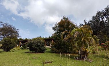 Venta Finca La Ceja Antioquia