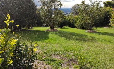 Venta Finca La Ceja Antioquia