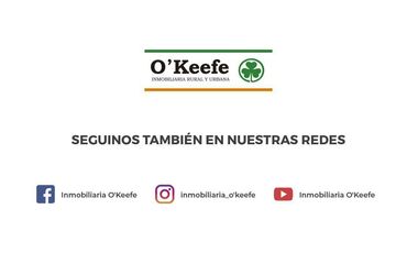 Departamento en venta 2 ambientes km1 Av. Pioneros  - San Carlos De Bariloche