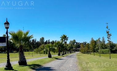 Alquiler Temporal - Casa en Barrio Marinas Del Pilar