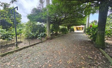 Se Vende Finca en La Tebaida Vía al Valle