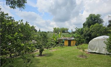 Se Vende Finca en La Tebaida Vía al Valle