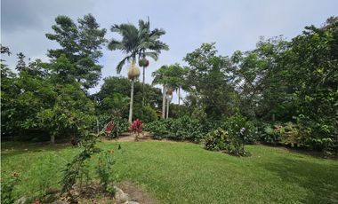 Se Vende Finca en La Tebaida Vía al Valle