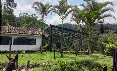 Lote para la venta en la Estrella vereda sanisidro