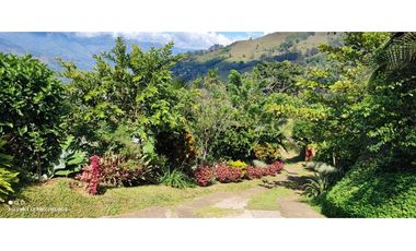VENTA FINCA  VEREDA SALINAS DEL CONVENTO - COPACABANA ANTIOQUIA