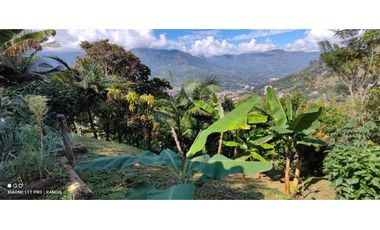 VENTA FINCA  VEREDA SALINAS DEL CONVENTO - COPACABANA ANTIOQUIA