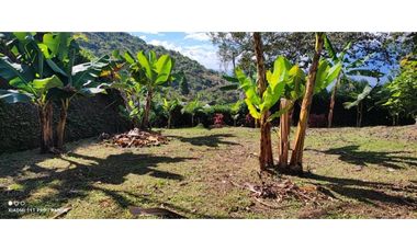 VENTA FINCA  VEREDA SALINAS DEL CONVENTO - COPACABANA ANTIOQUIA