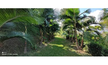 VENTA FINCA  VEREDA SALINAS DEL CONVENTO - COPACABANA ANTIOQUIA