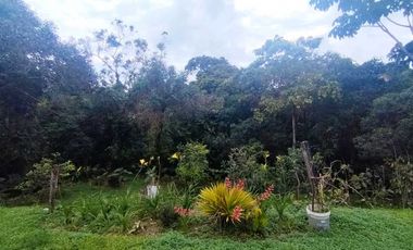 Se Vende Casa Campestre en Condominio Zona Rural Filandia 8962617