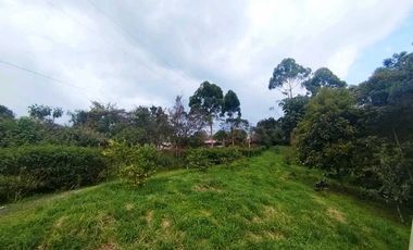 Se Vende Casa Campestre en Condominio Zona Rural Filandia 8962617