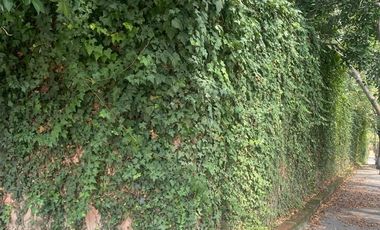 TERRENO EN VENTA EN OLIVAR DE LOS PADRES