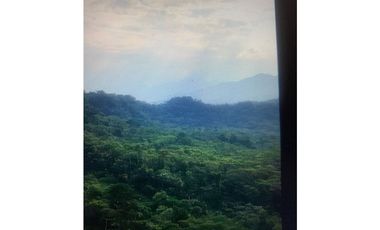 Terreno de 32 Hectáreas en Tena, Provincia de Napo