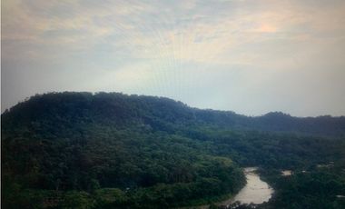 Terreno de 32 Hectáreas en Tena, Provincia de Napo