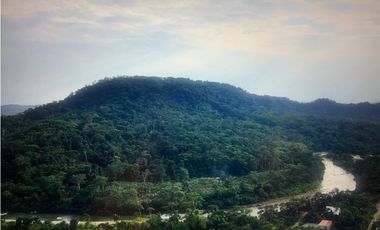 Terreno de 32 Hectáreas en Tena, Provincia de Napo