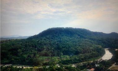 Terreno de 32 Hectáreas en Tena, Provincia de Napo