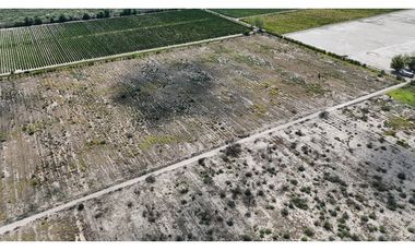 VENTA DE FINCA 40 HAS CALLE LA FLORIDA, EN EL MIRADOR - RIVADAVIA,MZA