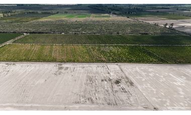VENTA DE FINCA 40 HAS CALLE LA FLORIDA, EN EL MIRADOR - RIVADAVIA,MZA