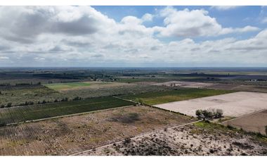 VENTA DE FINCA 40 HAS CALLE LA FLORIDA, EN EL MIRADOR - RIVADAVIA,MZA