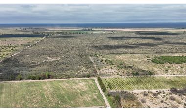 VENTA DE FINCA 40 HAS CALLE LA FLORIDA, EN EL MIRADOR - RIVADAVIA,MZA