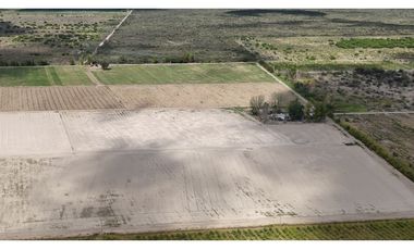 VENTA DE FINCA 40 HAS CALLE LA FLORIDA, EN EL MIRADOR - RIVADAVIA,MZA