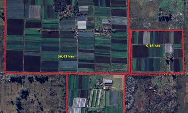 IMPORTANTE FRACCIÓN EN DERQUI!!