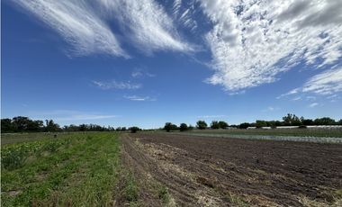 IMPORTANTE FRACCIÓN EN DERQUI!!