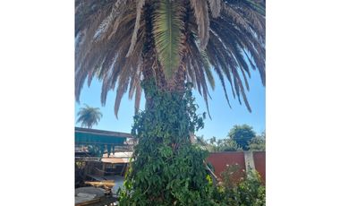 VENTA- TERRENO 690M2- B° ALEJANDRO CENTENO