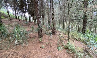 TERRENO EN VENTA SECTOR TARQUI