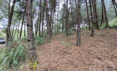 TERRENO EN VENTA SECTOR TARQUI