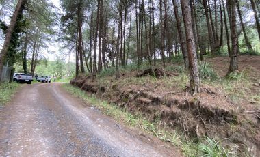 TERRENO EN VENTA SECTOR TARQUI