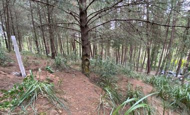 TERRENO EN VENTA SECTOR TARQUI