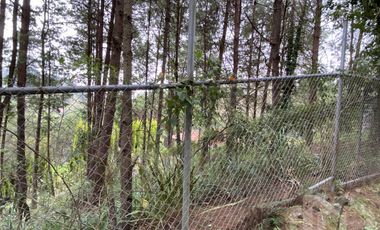 TERRENO EN VENTA SECTOR TARQUI
