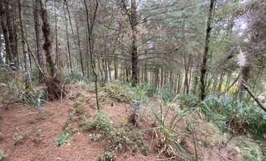 TERRENO EN VENTA SECTOR TARQUI