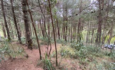 TERRENO EN VENTA SECTOR TARQUI