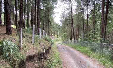 TERRENO EN VENTA SECTOR TARQUI