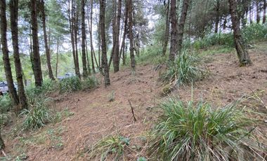 TERRENO EN VENTA SECTOR TARQUI